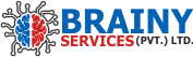 BRAINY SERVICES